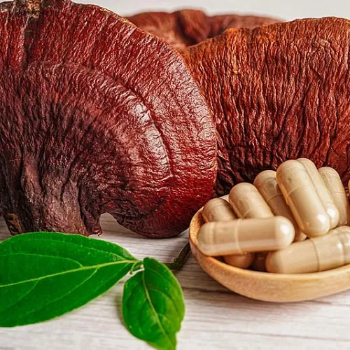Estratto di fungo Reishi per equilibrio quotidiano e resilienza